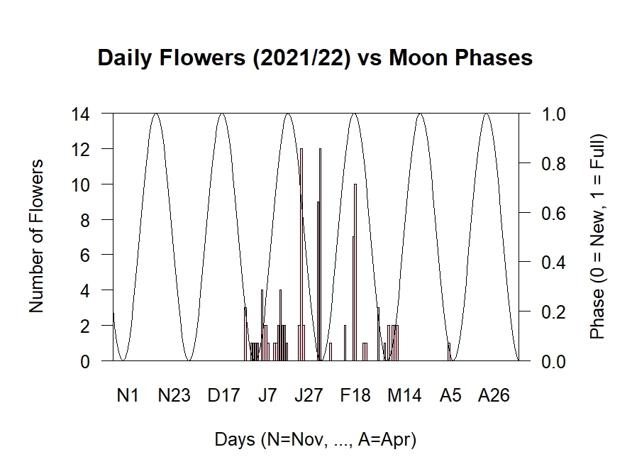 Flowers vs Moon Phases 2021/22